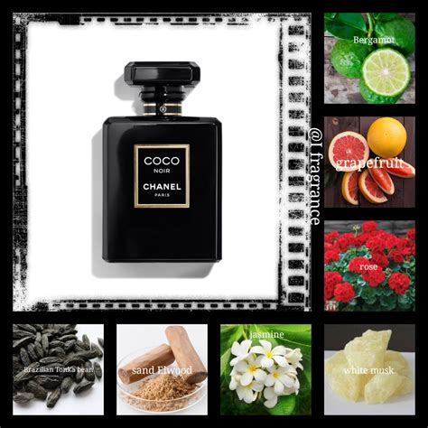 chanel coco noir perfume notes